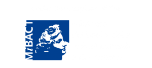 {altimage}